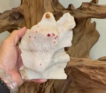 Gemstone Crystals Luc Yen CDQ113