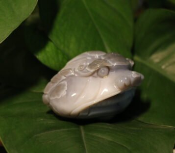 Natural Agate Feng Shui Good Luck Wealthy Frog With Crystal Cave CPT0002
