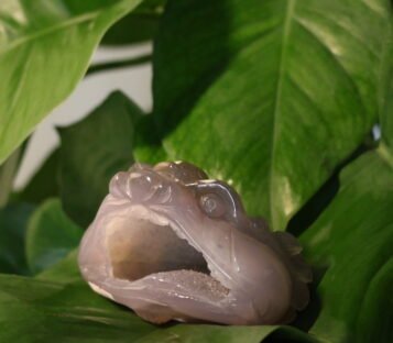 Natural Agate Feng Shui Good Luck Wealthy Frog With Crystal Cave  CPT0005