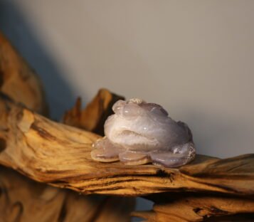 Natural Agate Feng Shui Good Luck Wealthy Frog With Crystal Cave  CPT0013