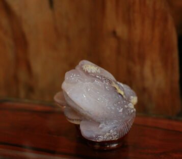 Natural Agate Feng Shui Good Luck Wealthy Frog With Crystal Cave  CPT0014