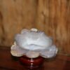 Natural Agate Feng Shui Good Luck Wealthy Frog With Crystal Cave CPT0015