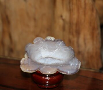 Natural Agate Feng Shui Good Luck Wealthy Frog With Crystal Cave  CPT0015