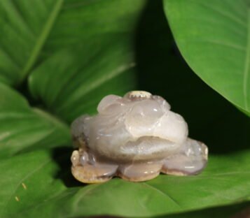 Natural Agate Feng Shui Good Luck Wealthy Frog With Crystal Cave  CPT0018