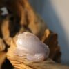 Natural Agate Feng Shui Good Luck Wealthy Frog With Crystal Cave CPT0019