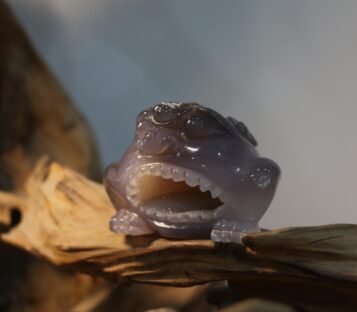 Natural Agate Feng Shui Good Luck Wealthy Frog With Crystal Cave  CPT0024
