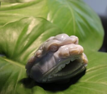 Natural Agate Feng Shui Good Luck Wealthy Frog With Crystal Cave  CPT0026