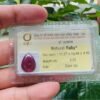 Natural Cabochon Dark Red Ruby G56968
