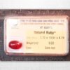 Natural Cabochon Dark Red Ruby G56973 1 Natural Cabochon Dark Red Ruby G56973