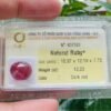 Natural Cabochon Dark Red Ruby G57520