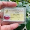 Natural Cabochon Red Ruby G56988