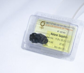 Natural Dark Blue Sapphire Feng Shui Wealthy Good Luck Attract Pixiu G57455 2