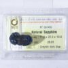 Natural Dark Blue Sapphire Feng Shui Wealthy Good Luck Attract Pixiu G57456 1