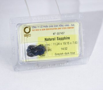 Natural Dark Blue Sapphire Feng Shui Wealthy Good Luck Attract Pixiu G57457 2