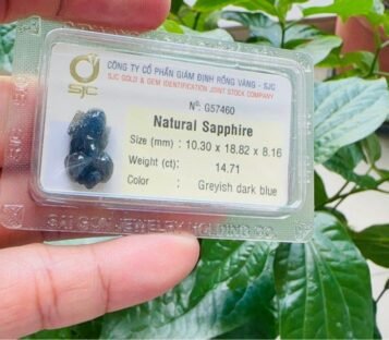 Natural Dark Blue Sapphire Feng Shui Wealthy Good Luck Attract Pixiu G57460