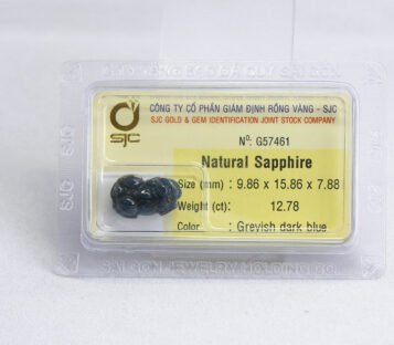 Natural Dark Blue Sapphire Feng Shui Wealthy Good Luck Attract Pixiu G57461