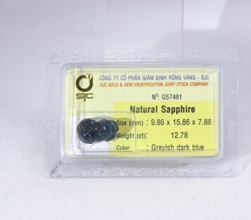 Natural Dark Blue Sapphire Feng Shui Wealthy Good Luck Attract Pixiu G57461 2