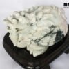 Natural Jade Feng Shui Power Good Luck Dragon Turtle TPT20 1