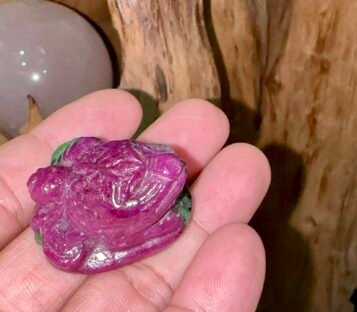 Natural Jade Ruby Feng Shui Good Luck Wealthy Frog With Coin TPT35 2