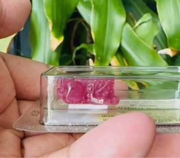 Natural Purplish Red Ruby Feng Shui Wealthy Good Luck Attract Pixiu G57493 2