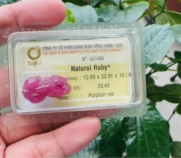 Natural Purplish Red Ruby Feng Shui Wealthy Good Luck Attract Pixiu G57493