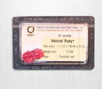 Natural Purplish Red Ruby Feng Shui Wealthy Good Luck Attract Pixiu G57500