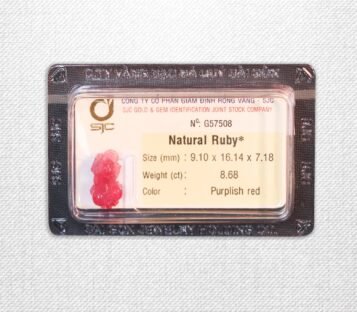 Natural Red Ruby Feng Shui Wealthy Good Luck Attract Pixiu 57508