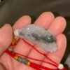 Feng Shui Wealthy Good Luck Attract Pixiu Jade TCT34 1 TCT34 4