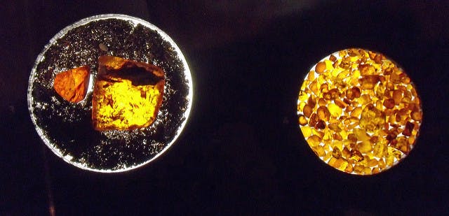 Amber: The Resin of Ancient Pine Trees with Insect Inclusions