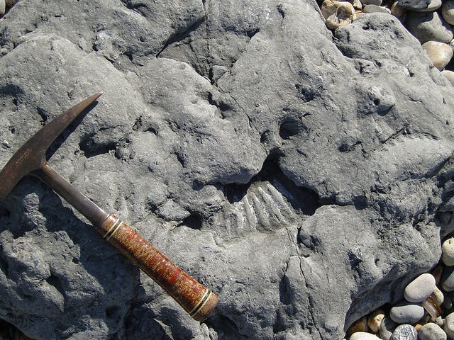 Lapidary Fundamentals: Cutting Rough Stones Lapidary Fundamentals: Cutting Rough Stones