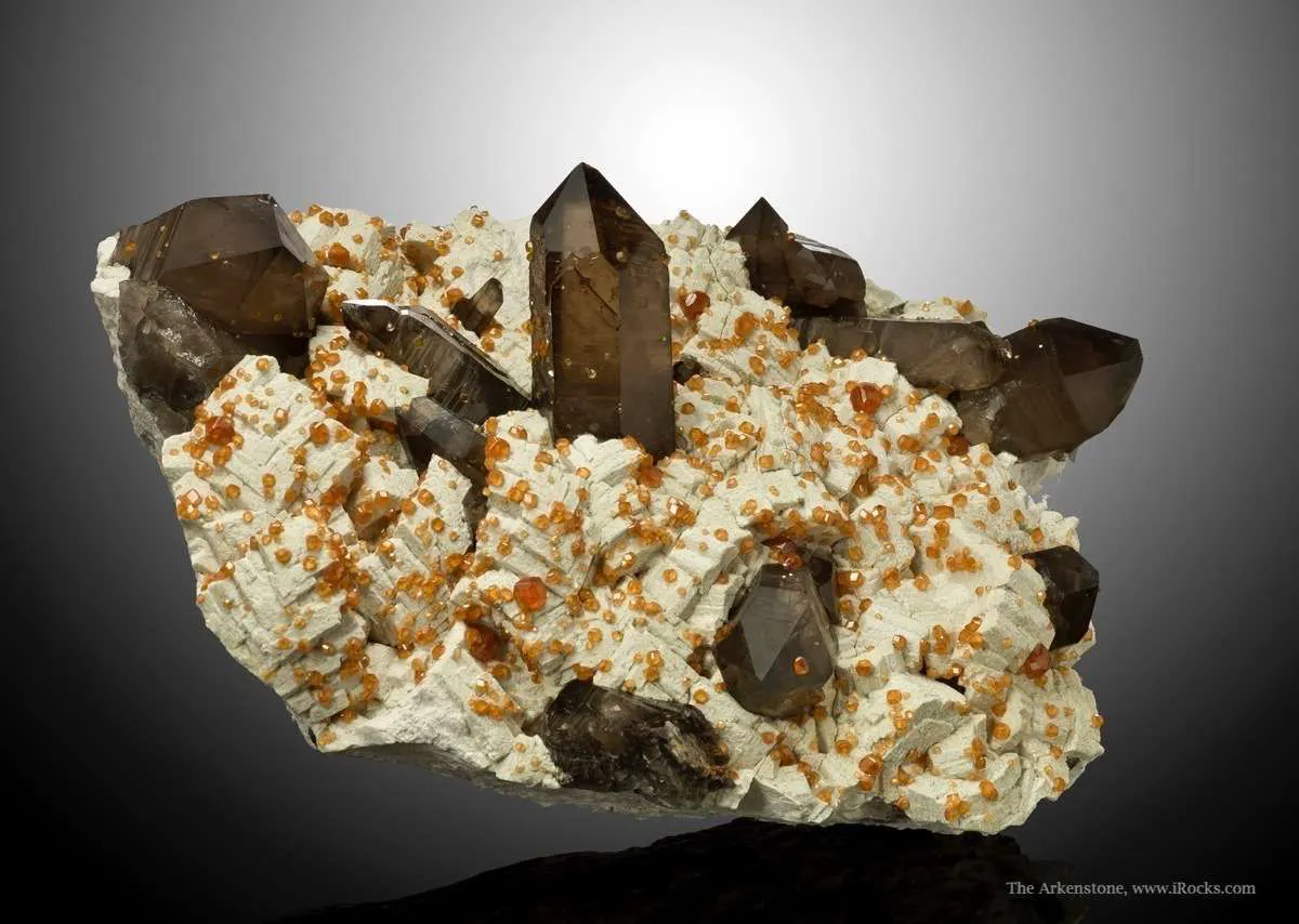 What Is The Difference Between Chert, Flint, and Mozarkite? What Is The Difference Between Chert, Flint, and Mozarkite?