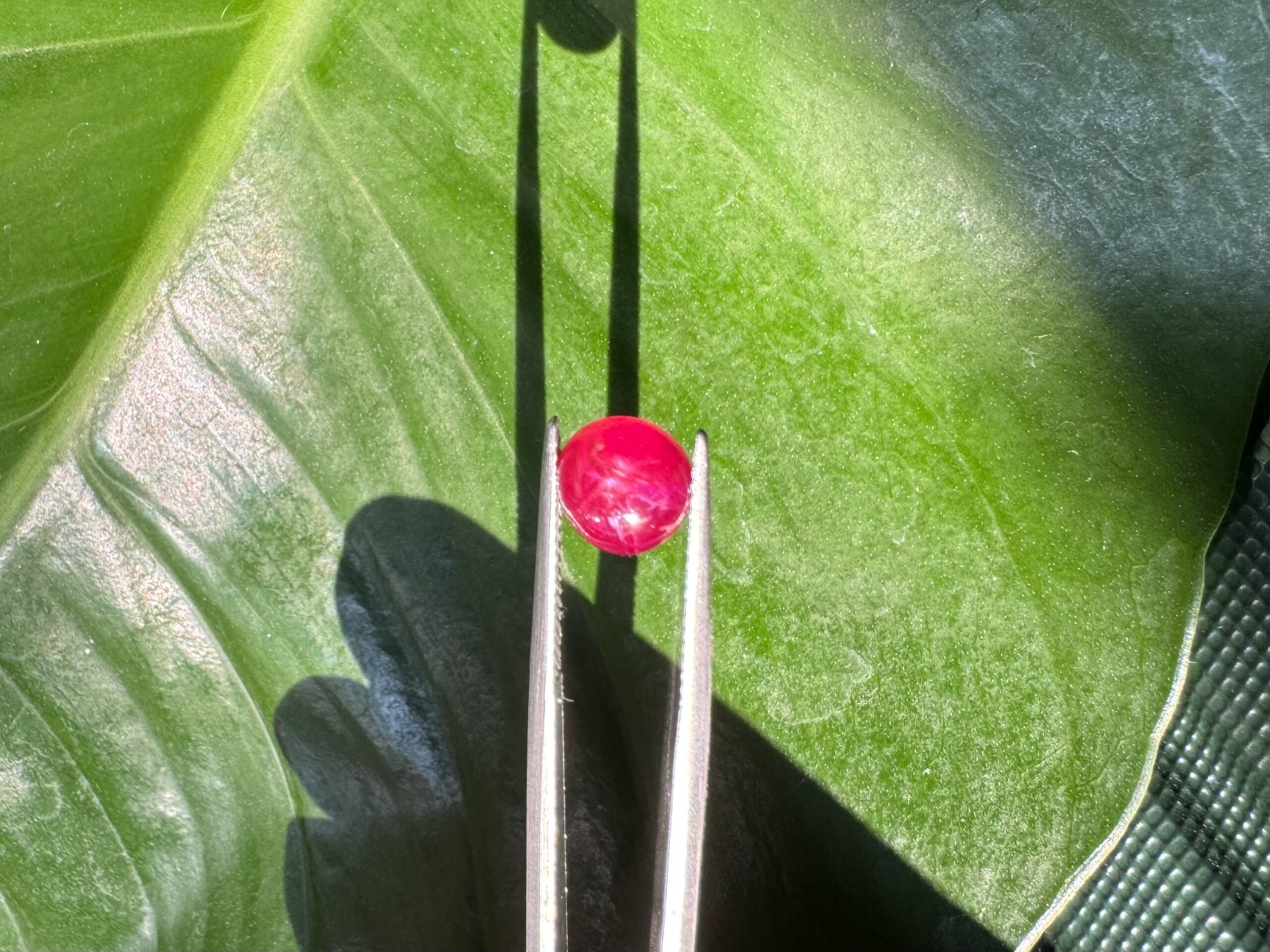 Unheat Pigeon Blood Star Ruby From Vietnam 100% Natural S5 10 Pigeon Blood Star Ruby 10 scaled