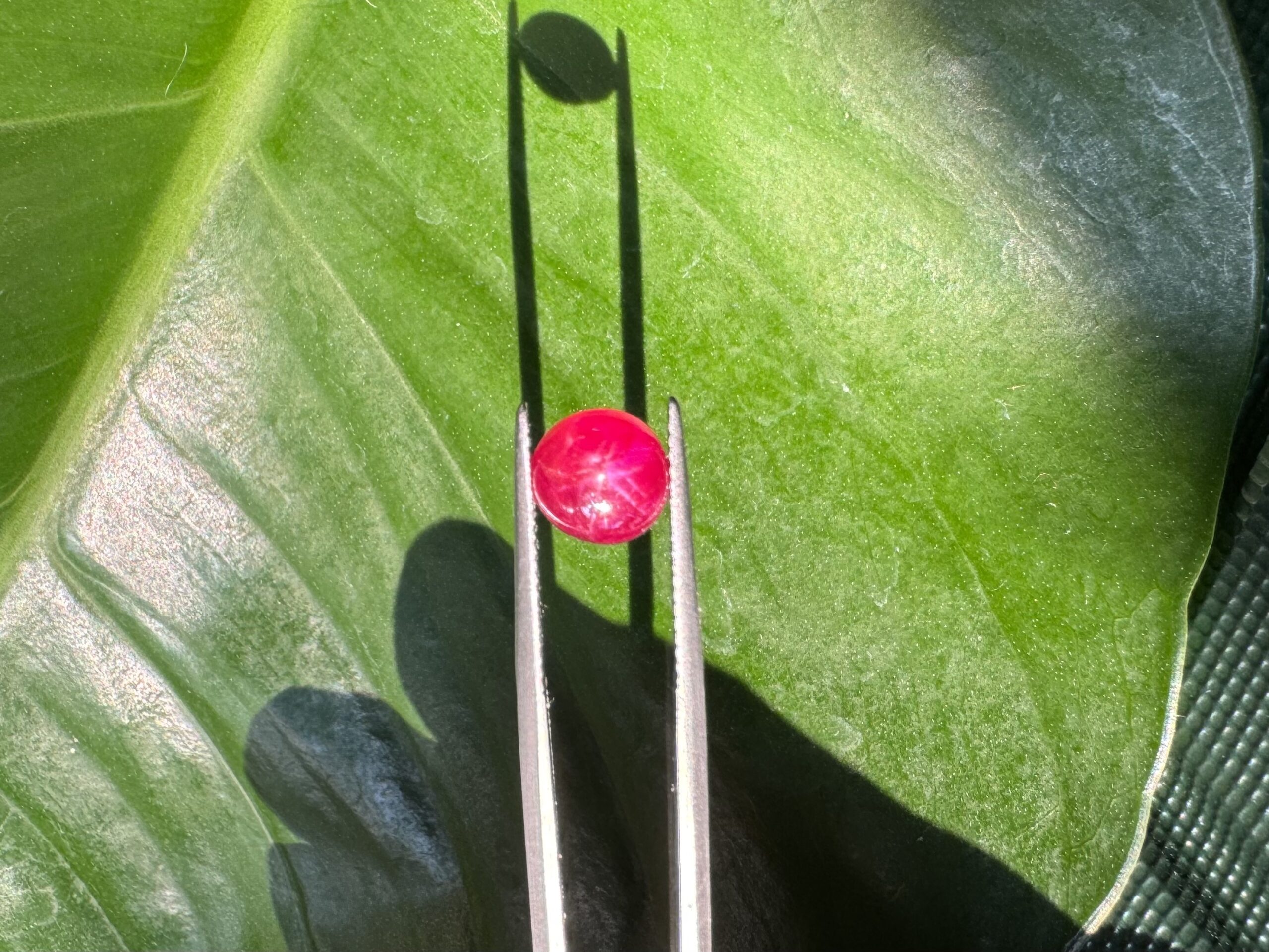 Unheat Pigeon Blood Star Ruby From Vietnam 100% Natural S5 11 Pigeon Blood Star Ruby 11 scaled