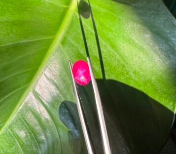 Unheat Pigeon Blood Star Ruby From Vietnam 100% Natural S4