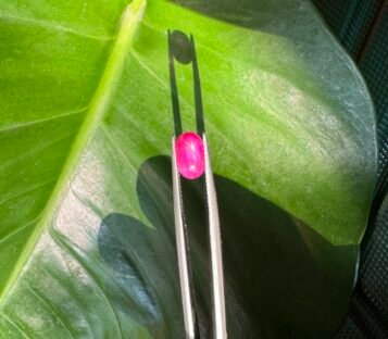 Pigeon Blood Star Ruby 14 scaled