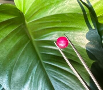 Pigeon Blood Star Ruby 3 scaled