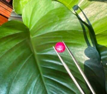 Pigeon Blood Star Ruby 4 scaled