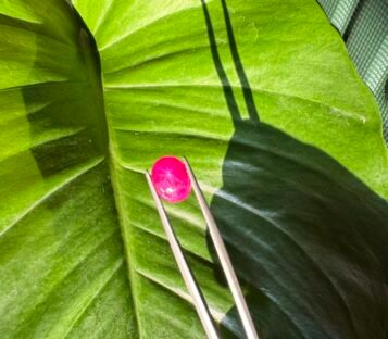 Pigeon Blood Star Ruby 5 scaled