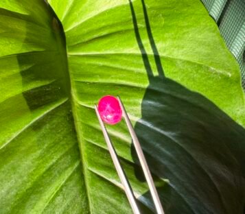 Pigeon Blood Star Ruby 6 scaled