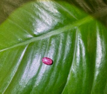 Ruby Cabochon S10 2 scaled