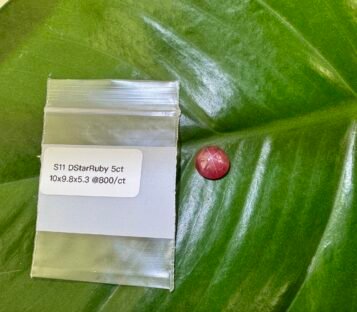 Ruby Cabochon S11 1 scaled