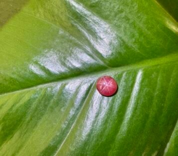 Unheat Star Ruby From Vietnam 100% Natural S11