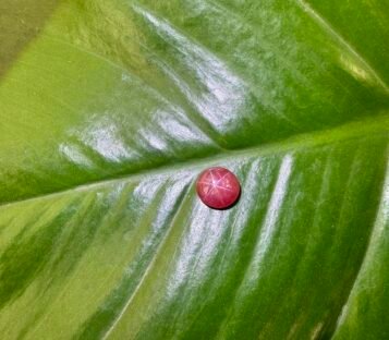 Ruby Cabochon S11 3 scaled