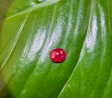Unheat Pigeon Blood Star Ruby From Vietnam 100% Natural S7