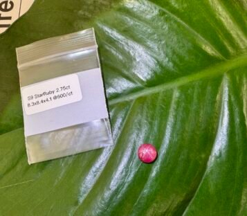 Ruby Cabochon S9 1 scaled