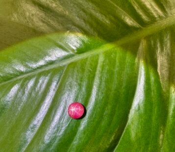 Ruby Cabochon S9 2 scaled