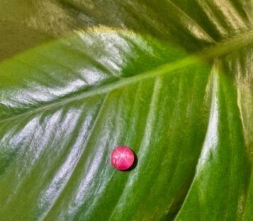 Unheat Pigeon Blood Star Ruby From Vietnam 100% Natural S9