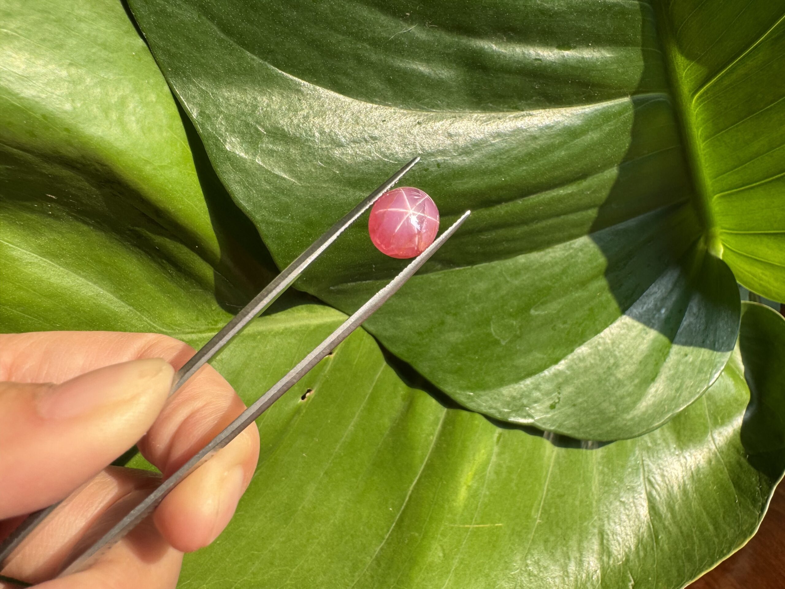 Star Pink Sapphire 1 scaled