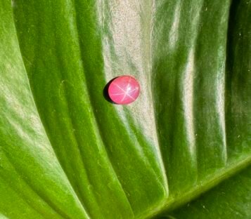Unheated Pink Star Sapphire From Vietnam 100% Natural S1