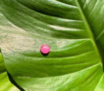 Star Pink Sapphire 7 scaled